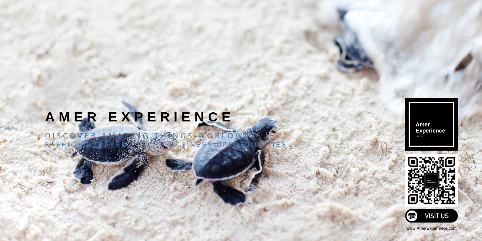 amer experience turtle puerto lopez - Travel and Golf Influencer - AmerExperience Content Curator