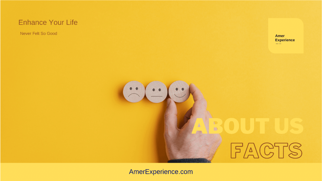 About us AmerExperience.com facts