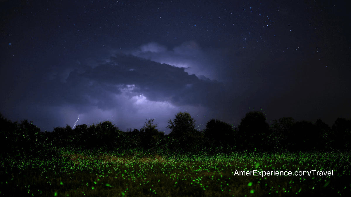 Spectacular photographs show Mother Nature at her most beautiful - and fearful