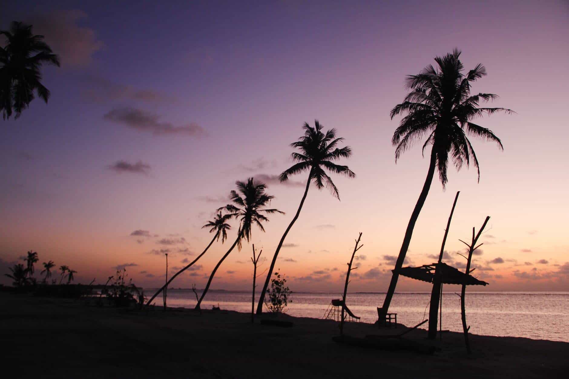 sea dawn landscape sunset