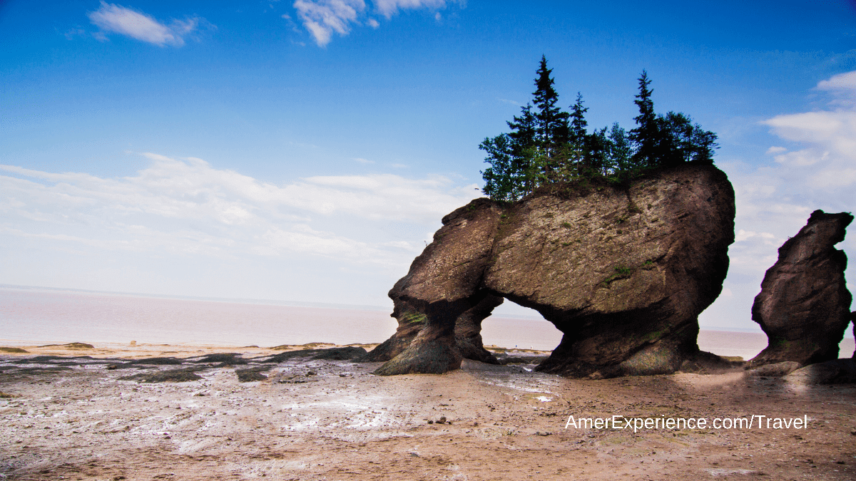 head to the natural wonder that is the Bay of Fundy