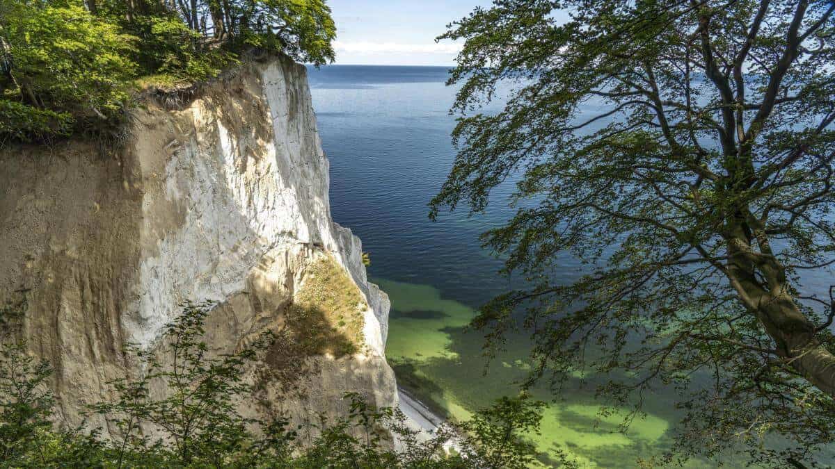 Daenemark Kreidefelsen M ns Klint 5.jpg
