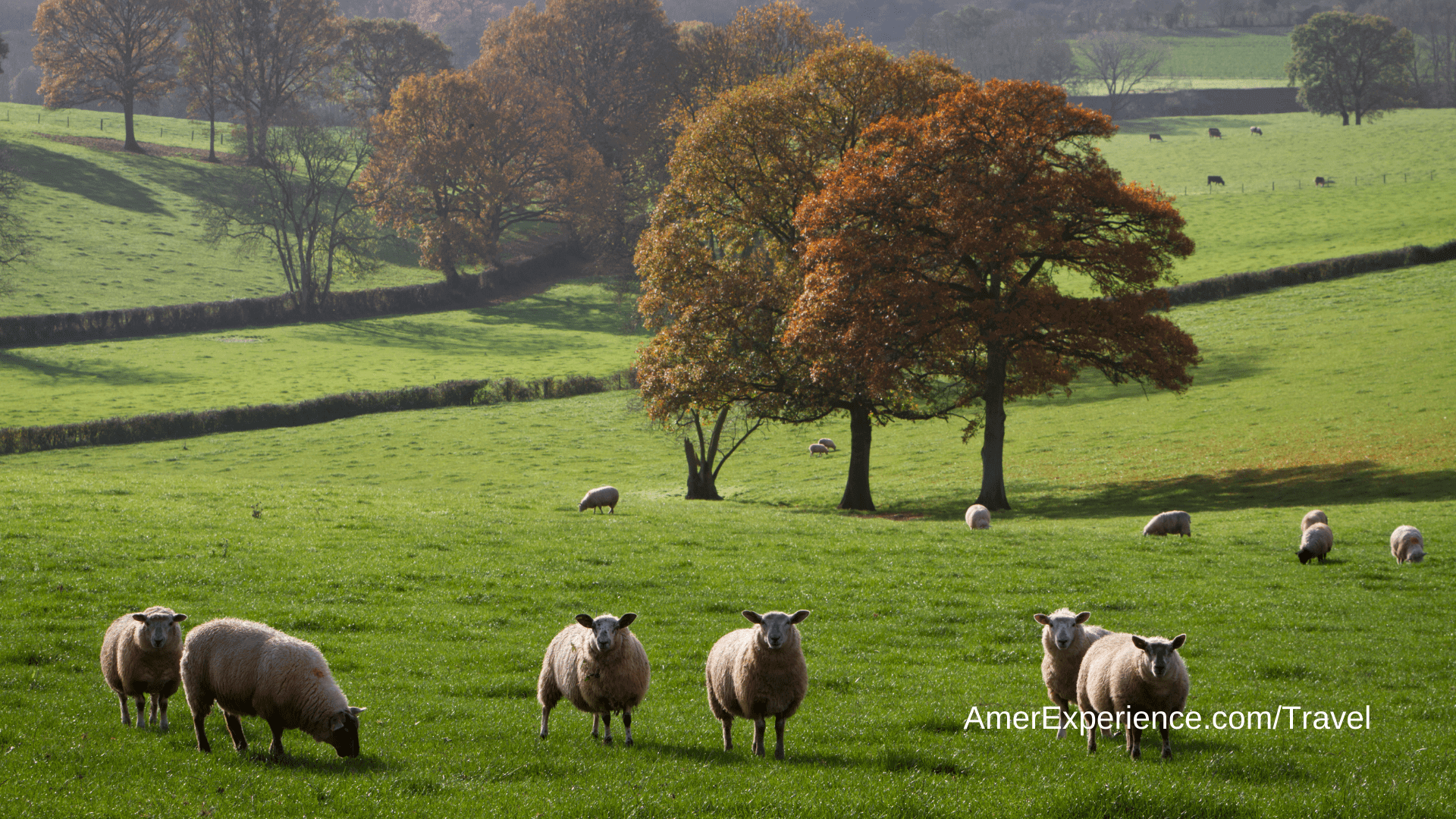 20 of the best autumn escapes around the UK