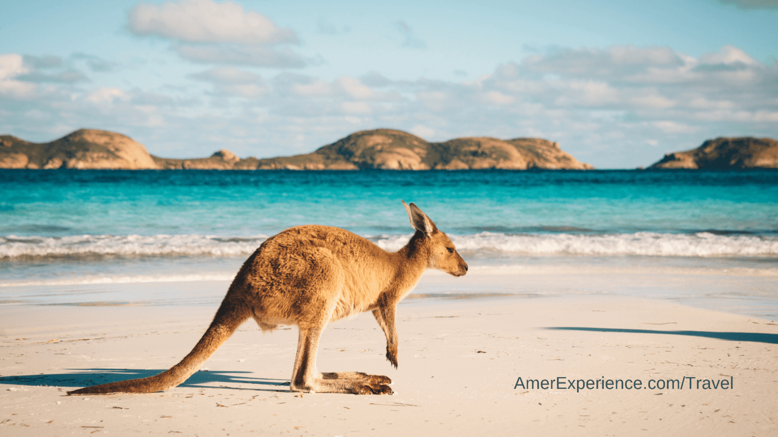 Australia is finally opening up - and sublime Rottnest Island is more irresistible than ever