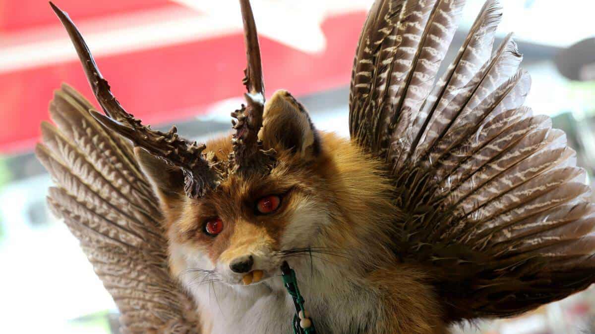 Fabelwesen Wolpertinger.jpg