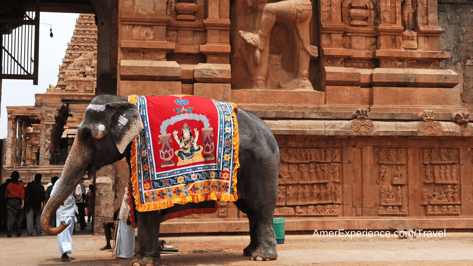 The colourful stage is set for 9 nights of celebration across India