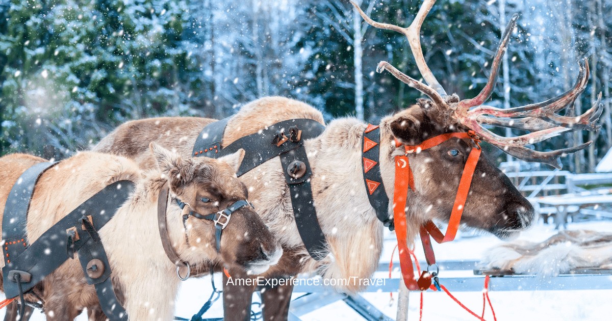 Von Schweden bis Island So feiert man Weihnachten im Norden png