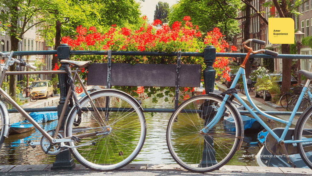 Discover Amazing Holland Netherlands Activities, Book Tours and Tickets Here