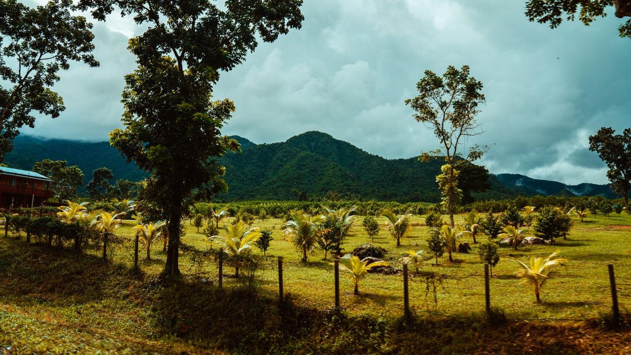 Belize meritt thomas 1h3wK0kv9Hw unsplash.jpg