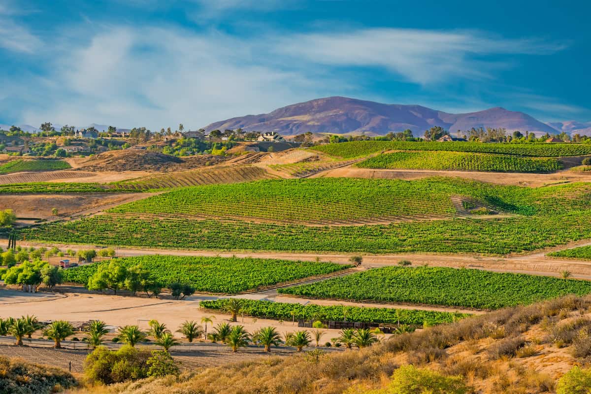 Cover Wine Country FB.jpeg