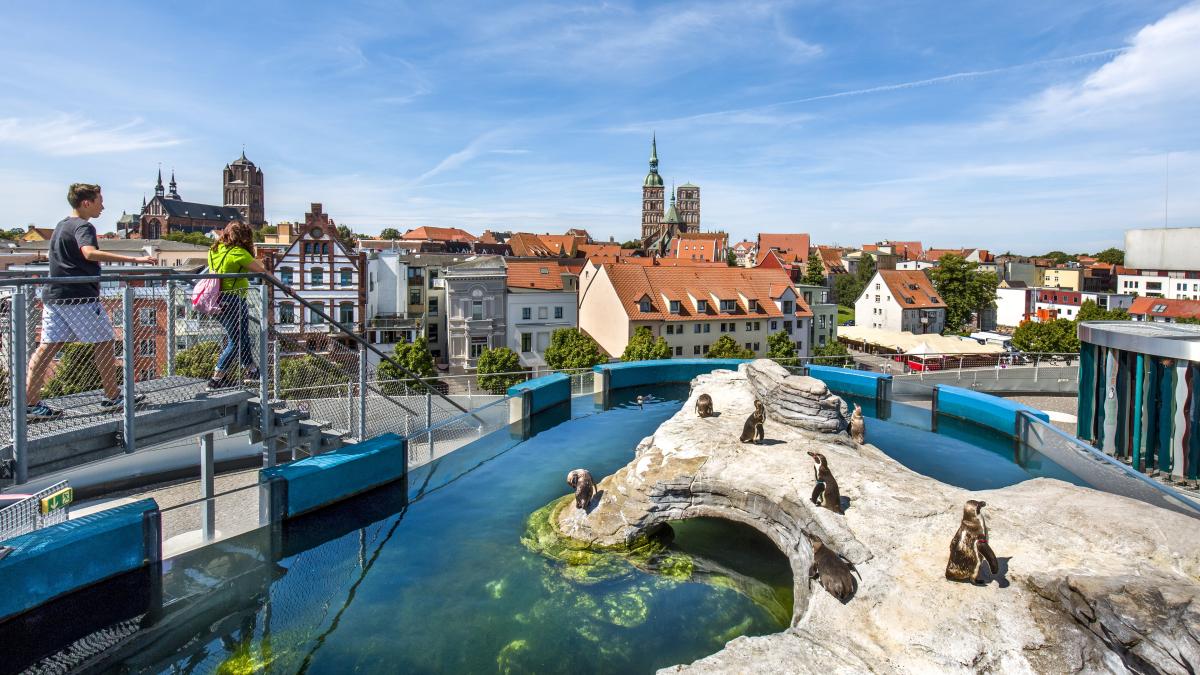 Ruegen Stralsund Ozeaneum.jpg