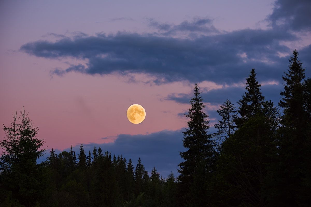 Super Moon FB.jpeg
