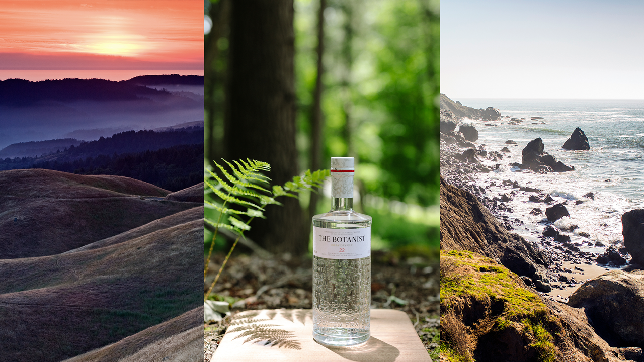 Bolinas Header Hires.png