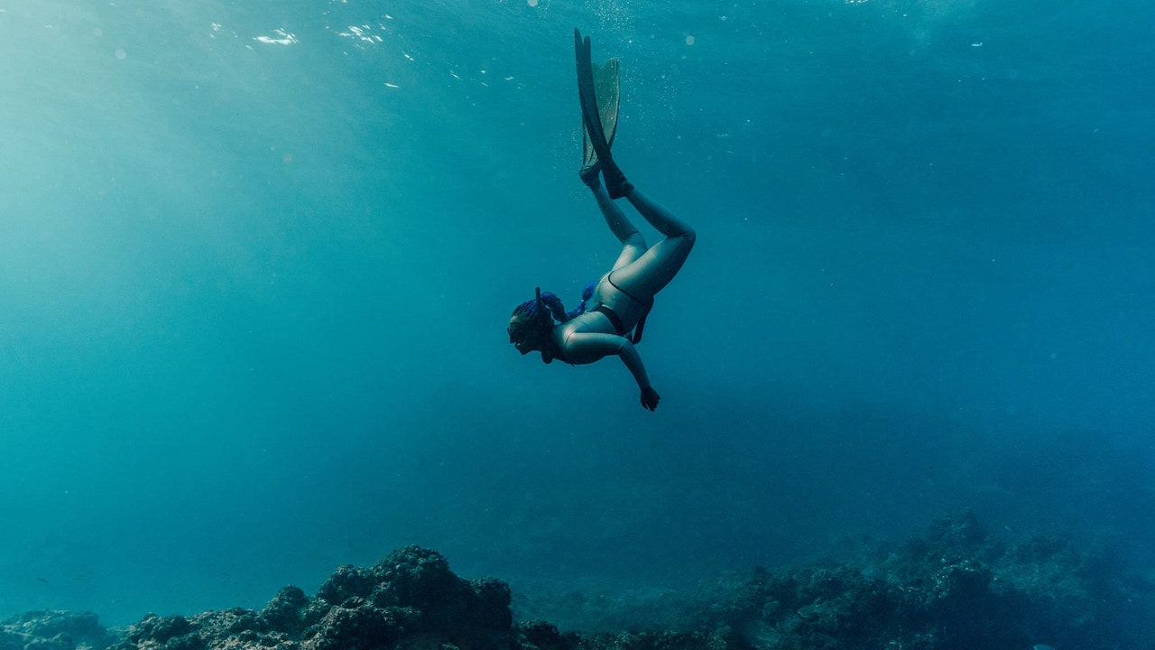 Ndhlovu20diving20in20Sodwana20Bay20off20South20AfricaE28099s20northeastern20coast C2A920Jacki20Bruniquel Zandi Under water Jpeg 2021 .jpg