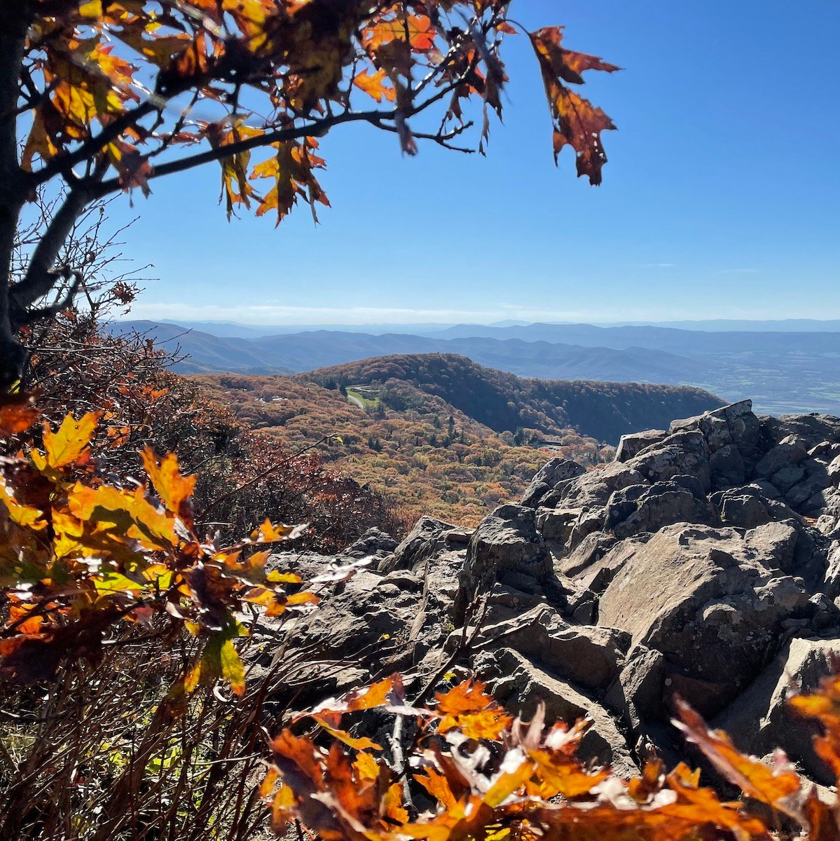 Cover Stony Man Summit.jpg