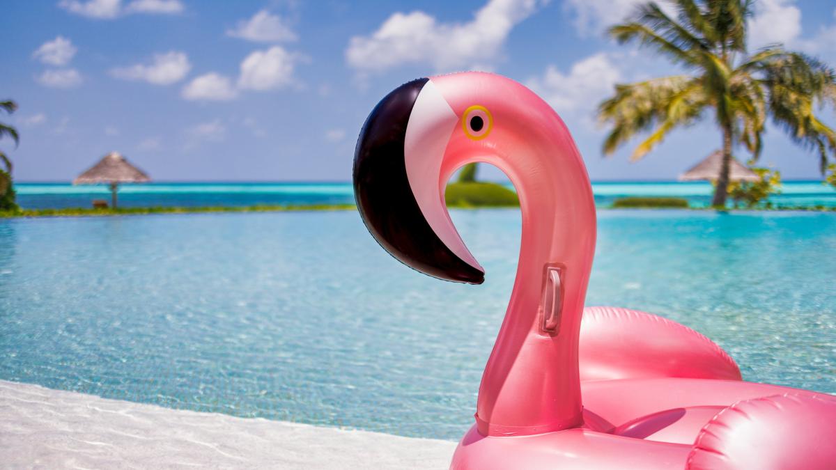 Inflatable flamingo ring floating in sunny swimming pool