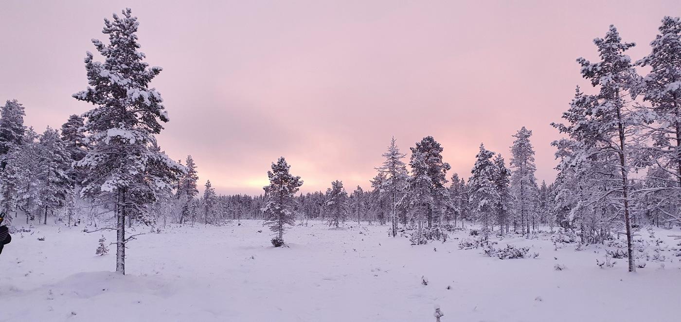 Lappi oma kuva.jpg