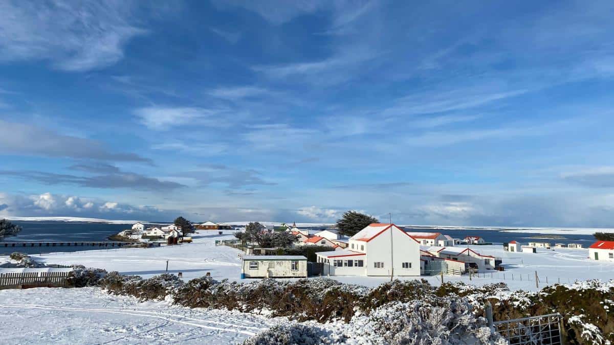 Luftbruecke zu den Pinguinen Unterwegs auf den Falklandinseln 4.jpg