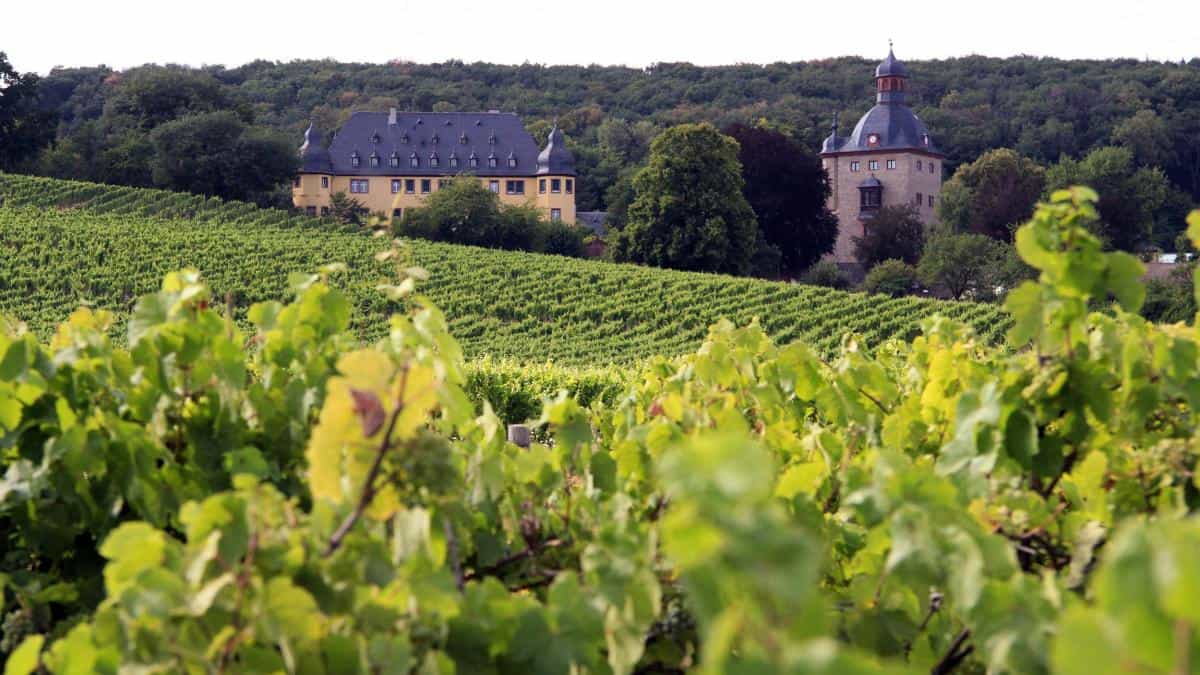 Pilgerwandern Von Kloster zu Kloster durchs Rheingau 4.jpg
