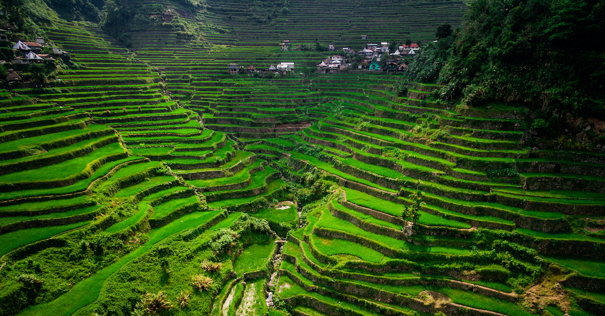 rice terraces philippines fb.jpg