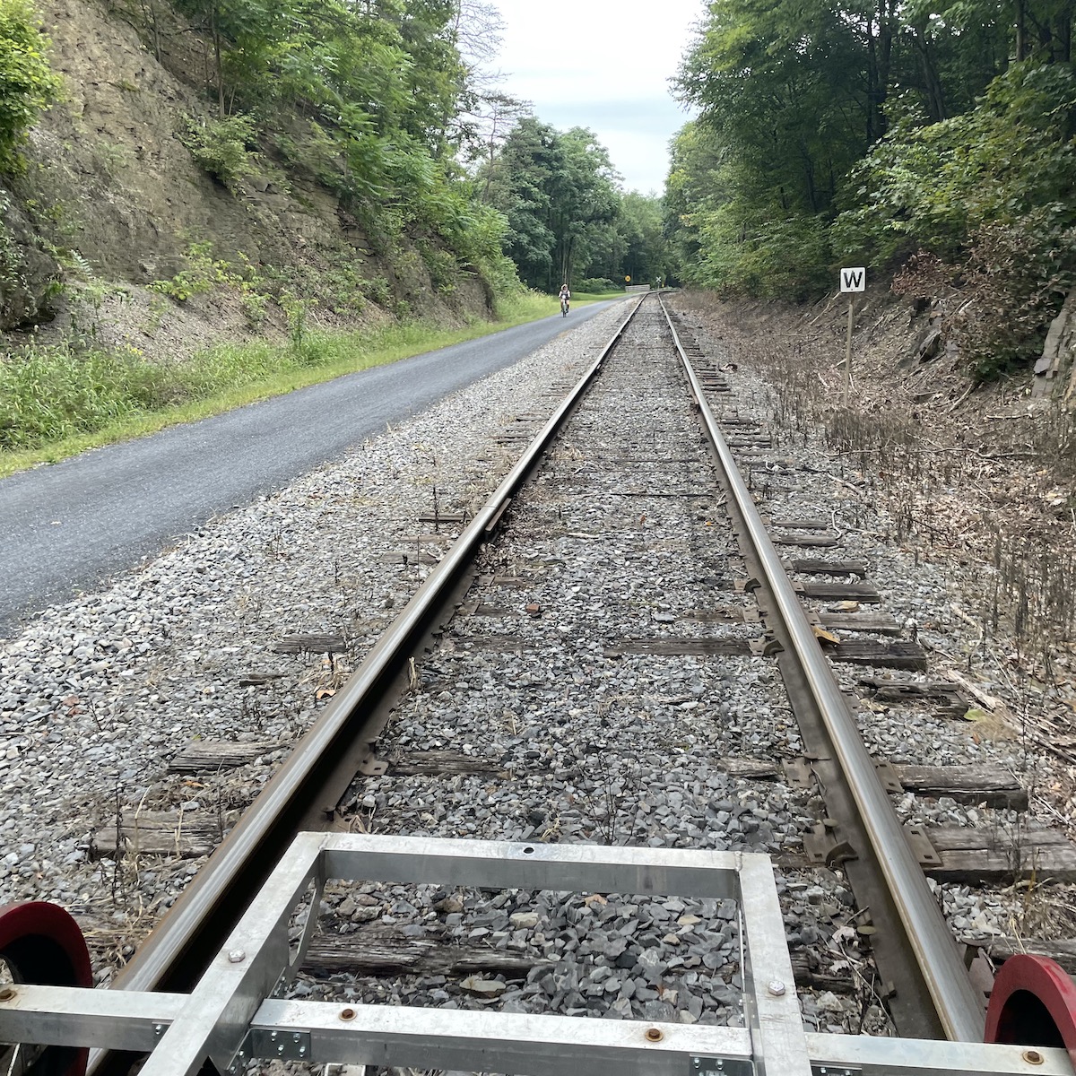 view from rail bike near frostburg maryland.jpeg