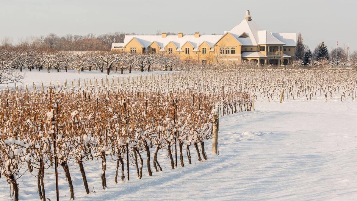 Canada Ontario Niagara on the Lake Ontario Peller Estate Winery in winter 3.jpg - Travel and Golf Influencer - AmerExperience Content Curator