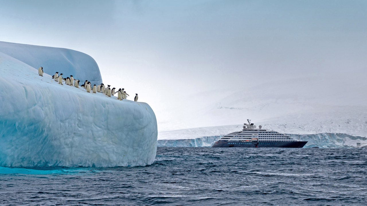 Scenic20Eclipse20Antarctica Scenic Eclipse Antarctica AdeCC81lie penguins Brown Bluff 5 GLX.jpg