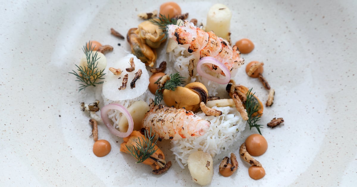 Dunvegan Langoustines Crab 1.jpg