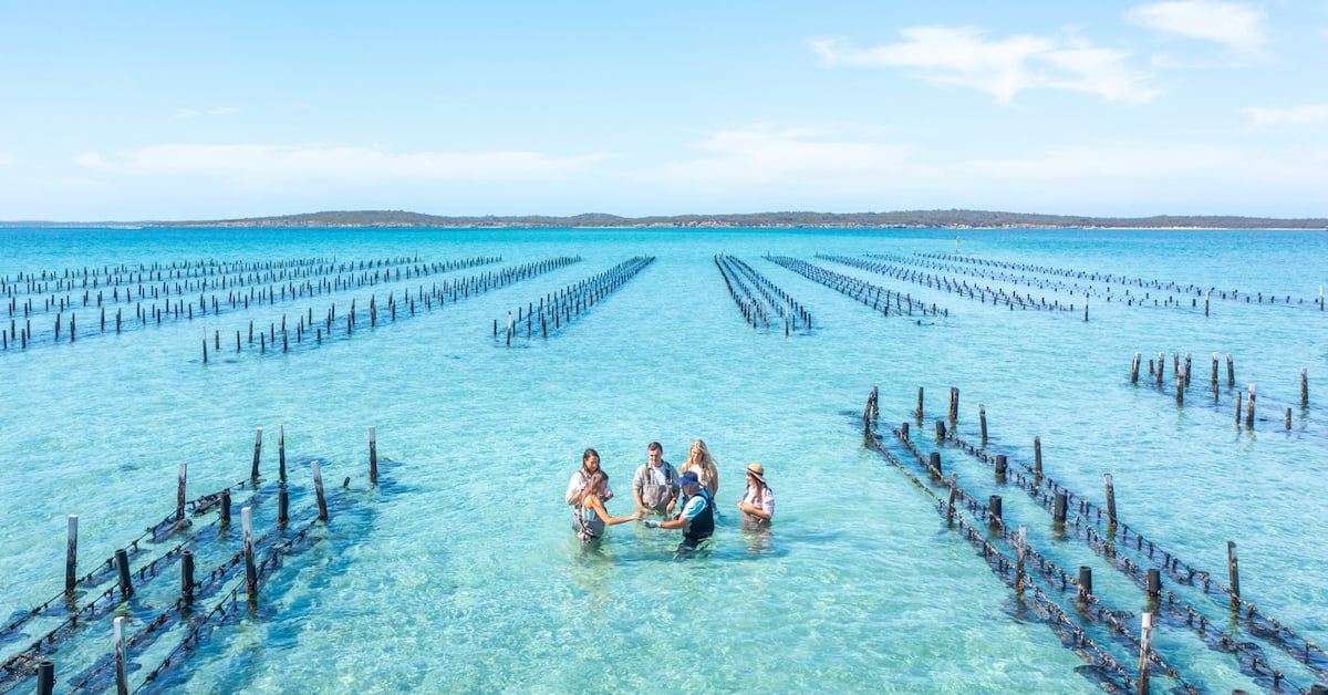 oyster farms coffin bay australia fb.jpg - Travel and Golf Influencer - AmerExperience Content Curator