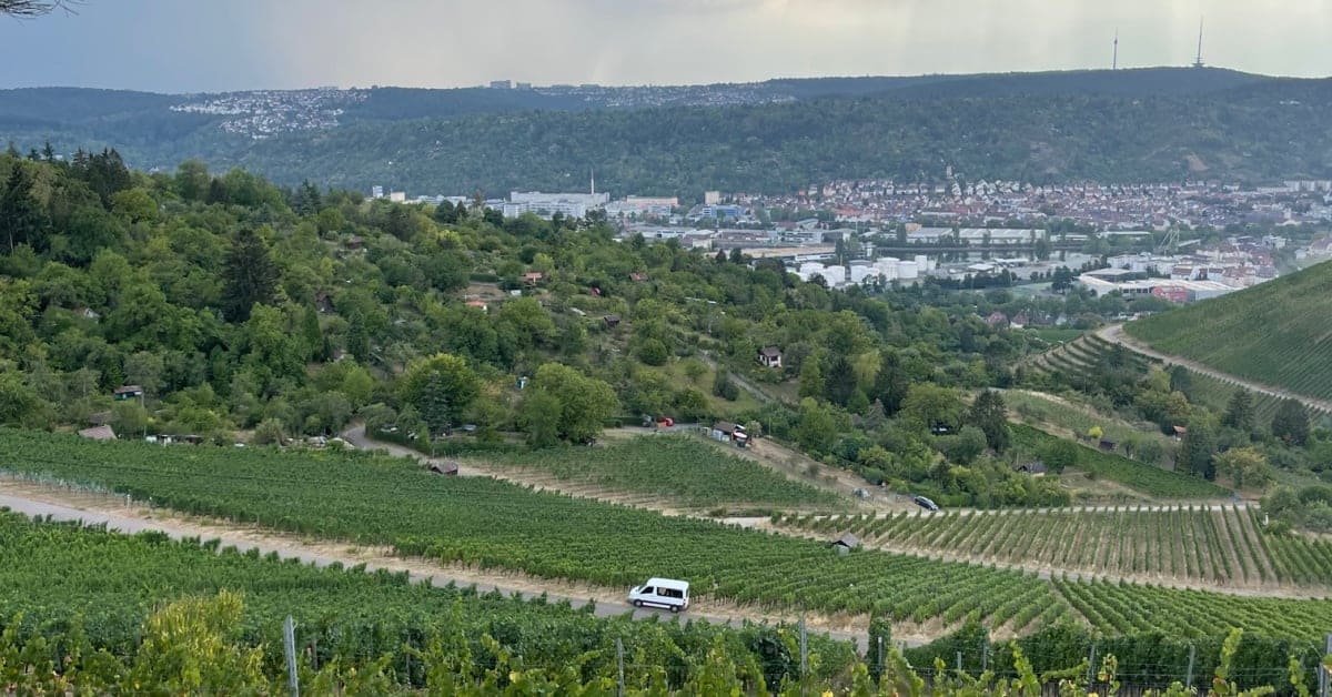 stuttgart vineyards fb.jpg