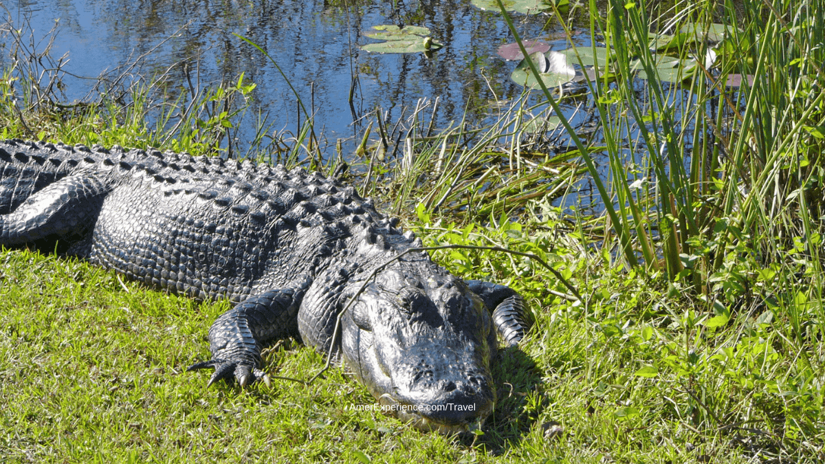 Everglades to the Gulf Islands National Seashore