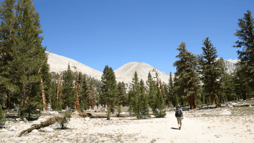 The John Muir Trail png