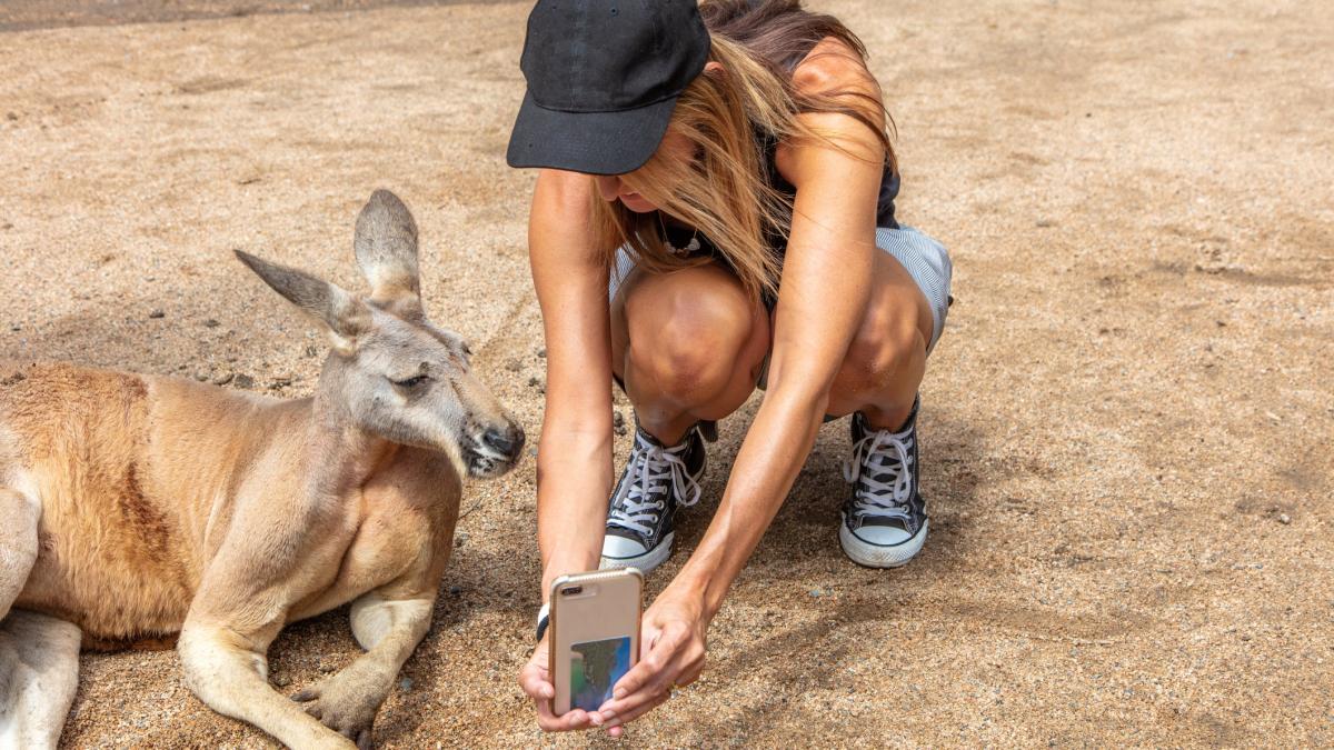 Selfies with a Kangaroo in Australia.jpg - Travel and Golf Influencer - AmerExperience Content Curator