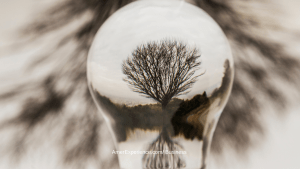 Reframe your perspective