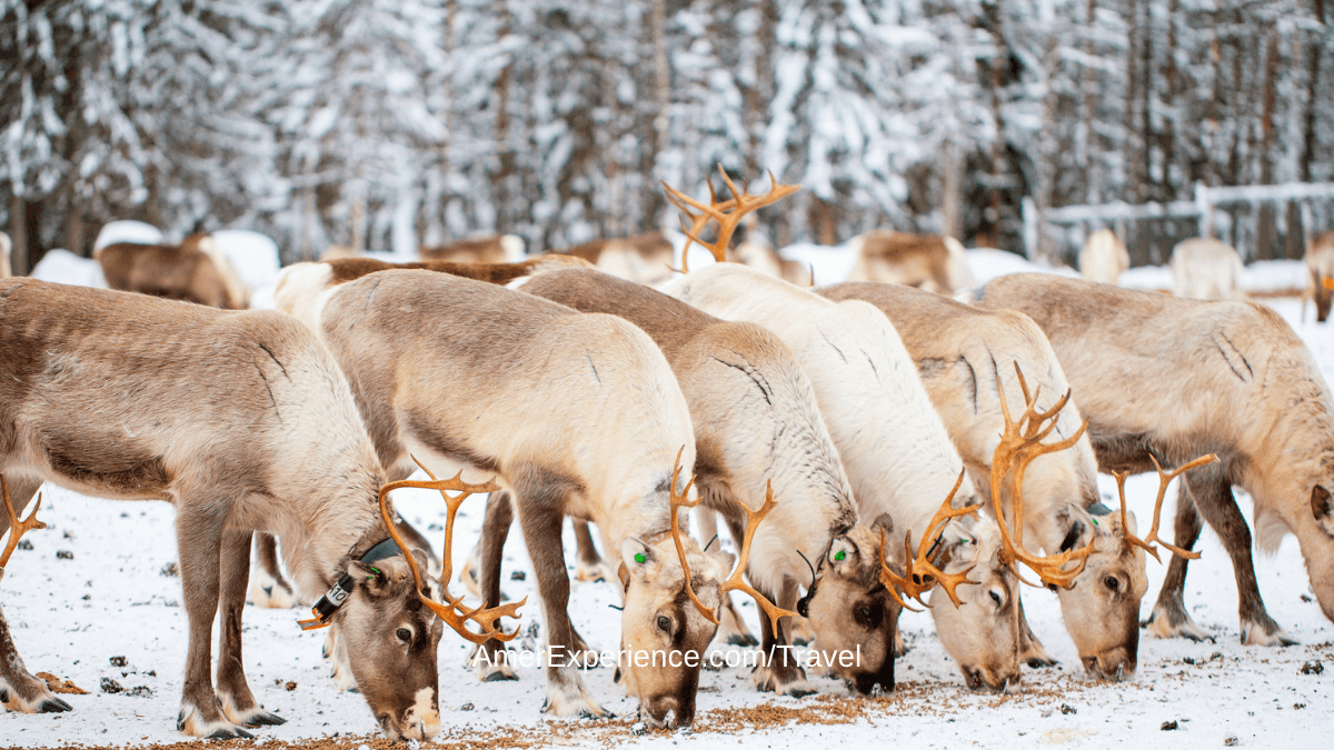 Sustainable tourism in Eastern Lapland
