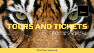 Compare Hotel Prices - Search Things To Do - Book Flights, Tours and Tickets