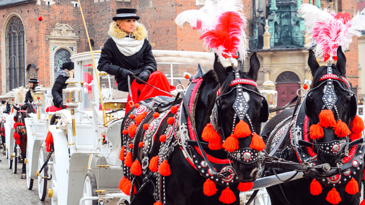 Discover Amazing Poland Activities, Book Tours and Tickets Here