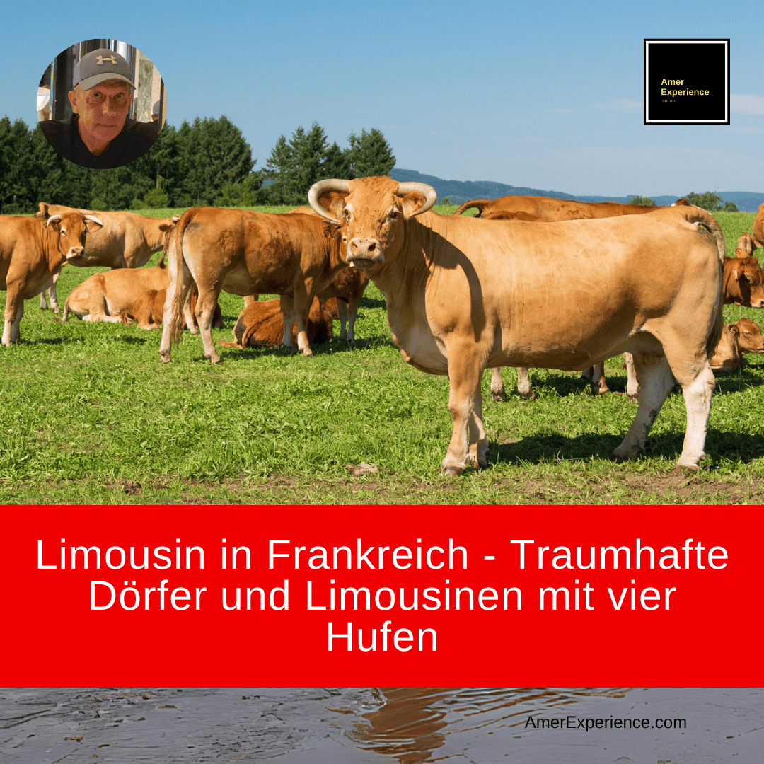 Limousin in Frankreich - Traumhafte Dörfer und Limousinen mit vier Hufen