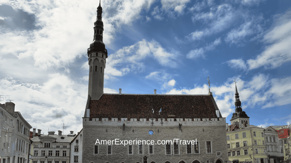 Delve into Tallinn’s civic history at the Town Hall, a Gothic masterpiece. The square surrounding it is a hub of activity, with vibrant markets and festivals.