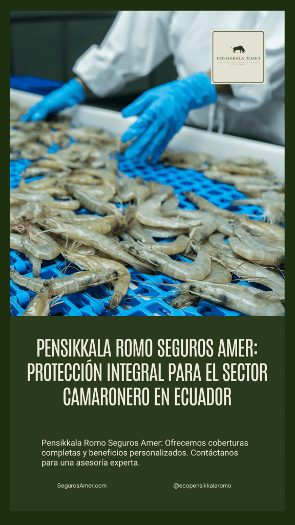 Seguros Amer Pensikkala Romo®: Protección integral para el sector camaronero y agricultura en Ecuador