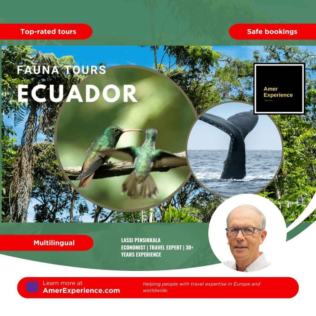 Where can I see hummingbirds and whales in Ecuador?