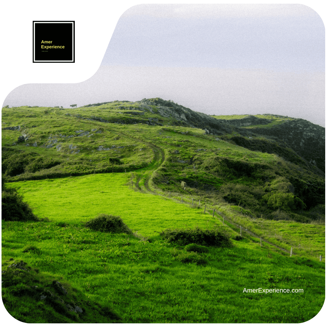 Travel Destinations magazine - Asturias green landscape