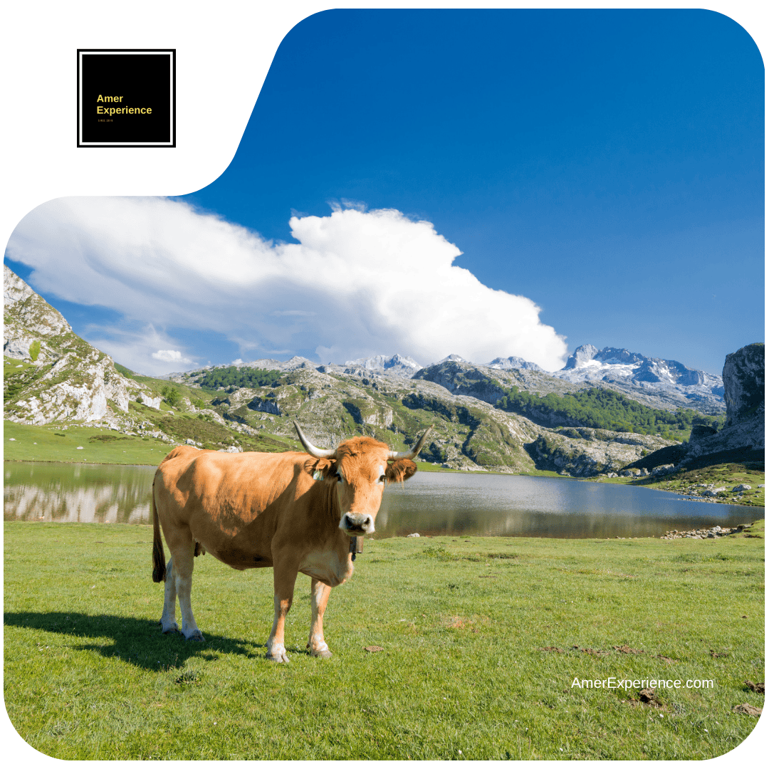 Travel Destinations magazine - Asturias high hill landscape