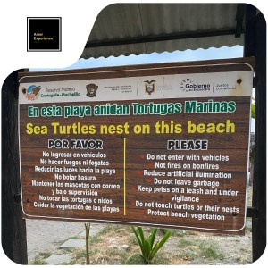 Ayampe sign turtle nests on this beach