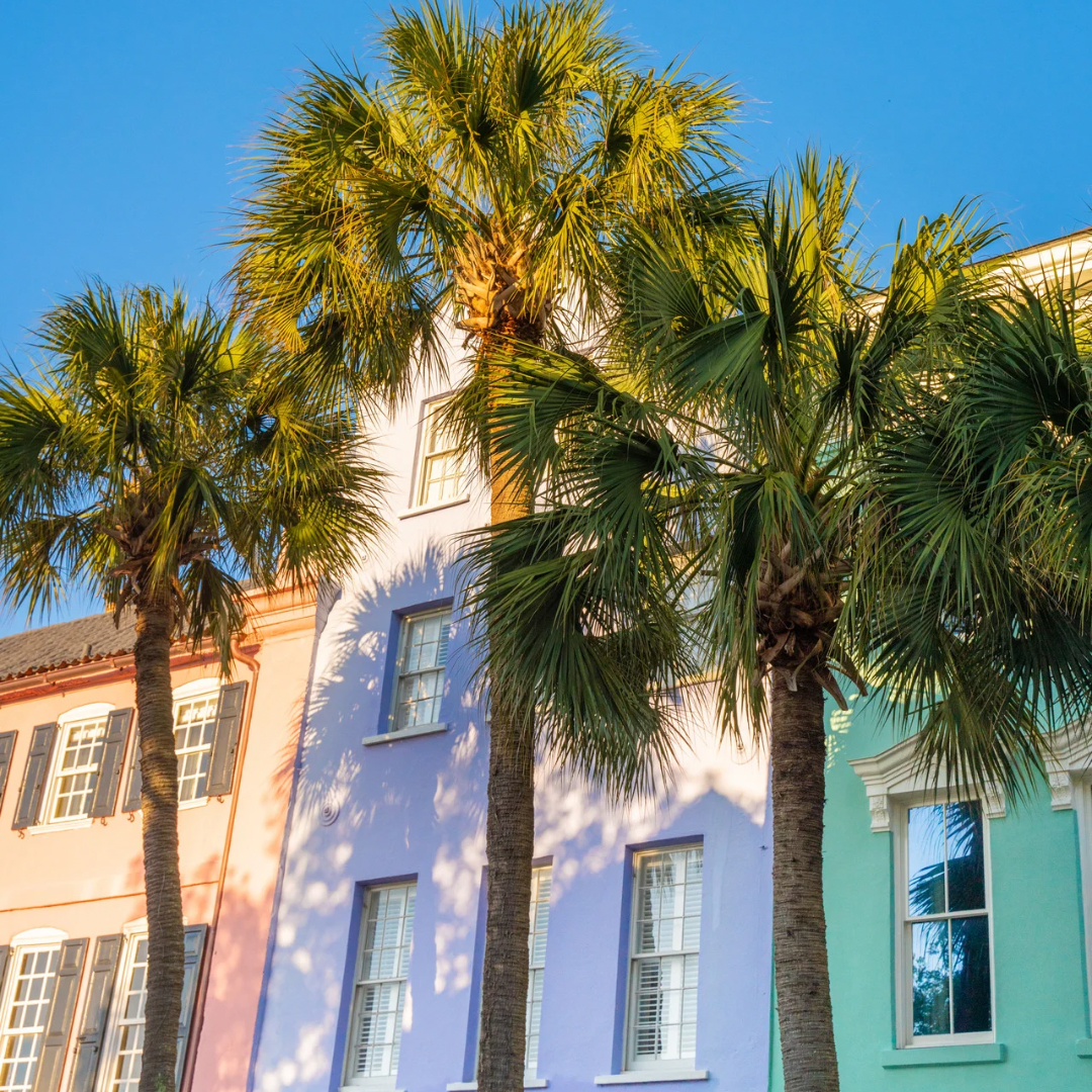 A row of historic colorful pastel houses and tall palm trees on East Bay Street in Charleston, South Carolina.
