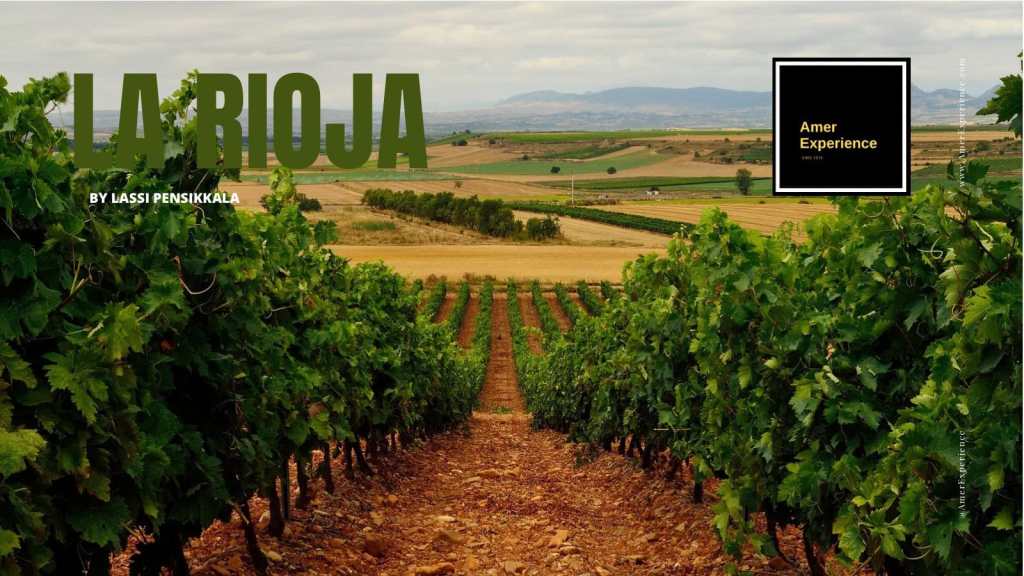 Paisaje panorámico de viñedos y naturaleza en La Rioja, España