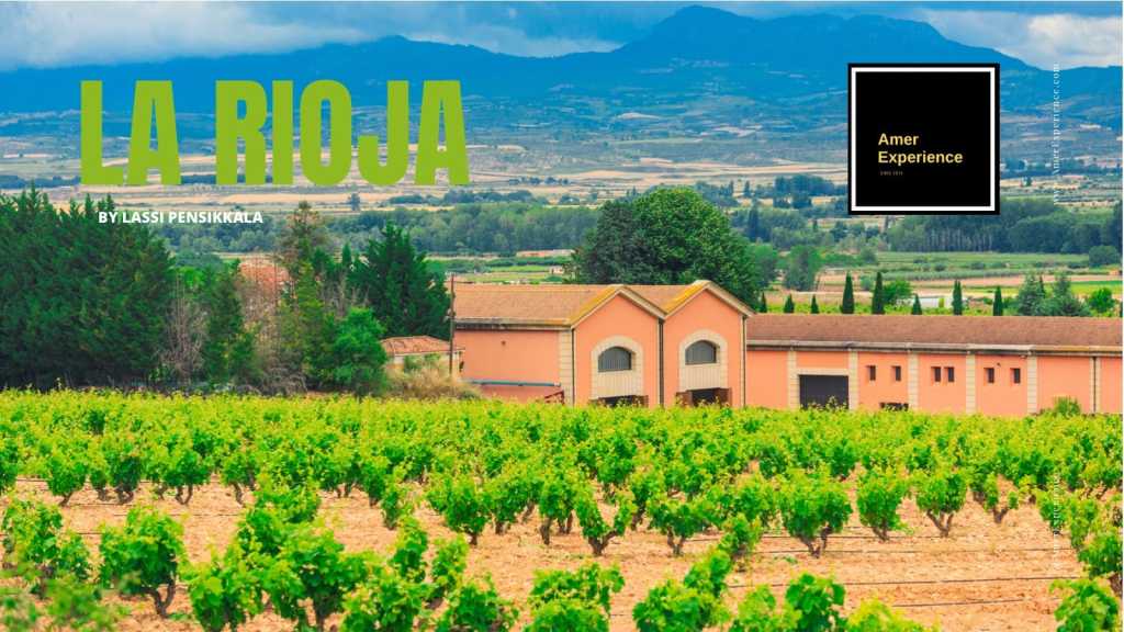 Viñedos y paisaje rural de La Rioja en una reconocida región vinícola de España