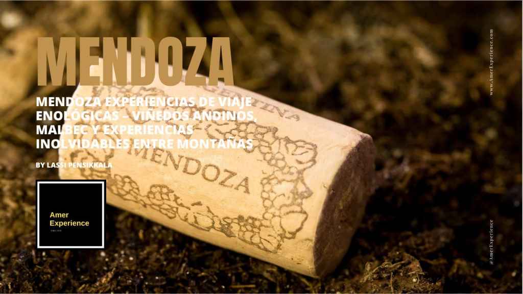 Mendoza wine cork and premium Argentine wine culture close-up image