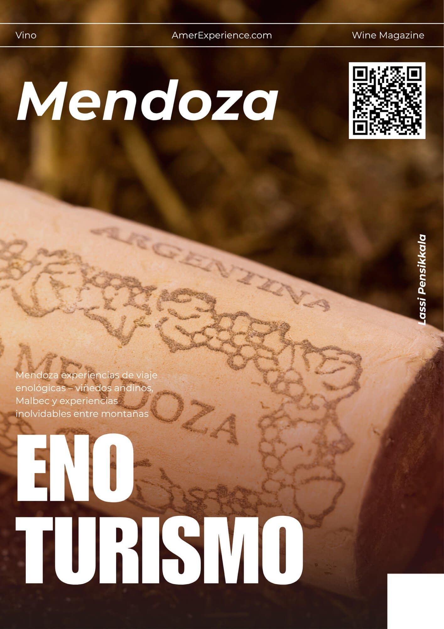 mendoza experiencias de viaje enológicas – viñedos andinos, malbec