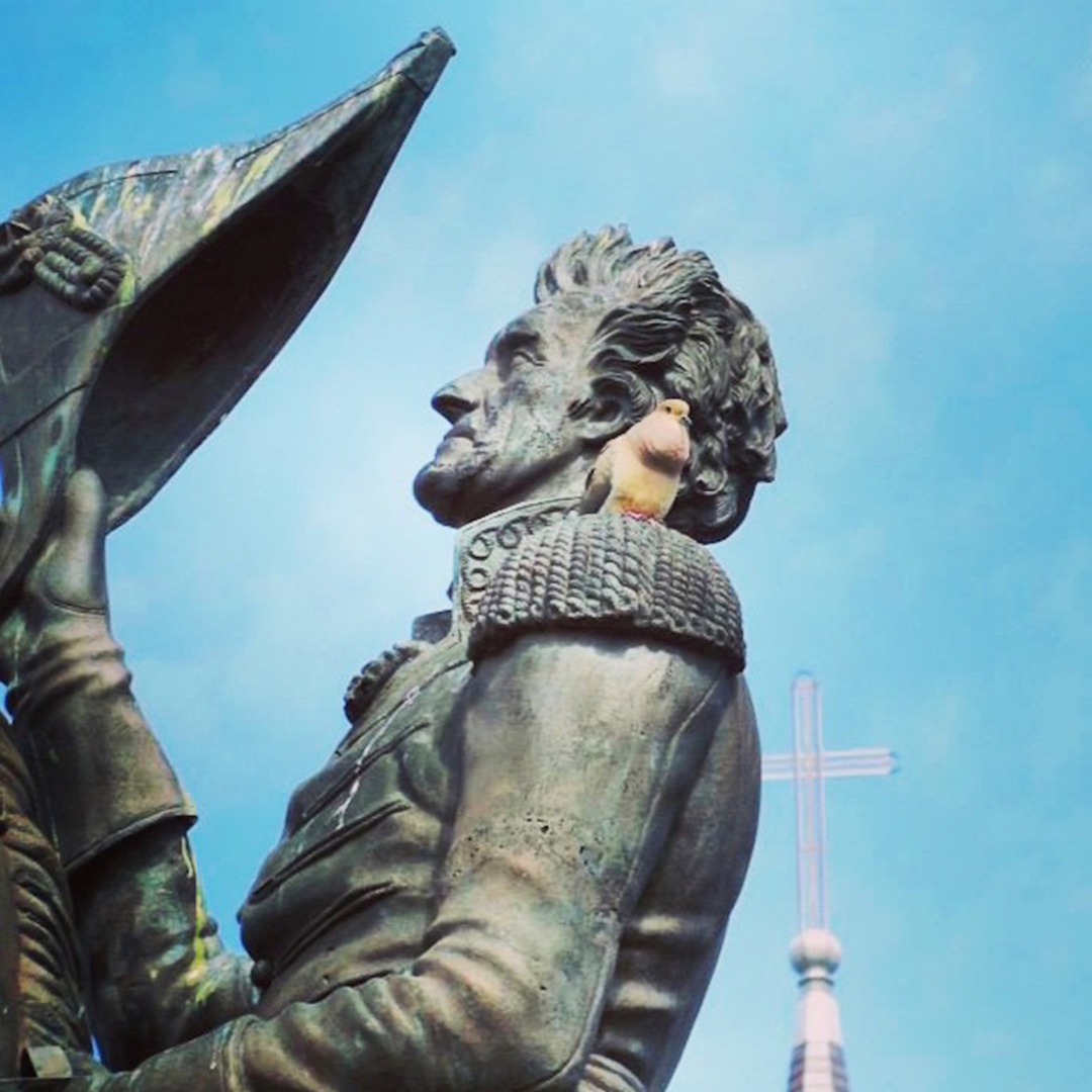 Located in front of the St. Louis Cathedral, this statue commemorates the Battle of New Orleans and is a centerpiece of the city's history.